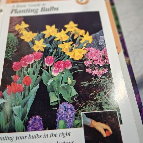 Gardening Made Easy by Not Available (1995, Hardcover) - Picture 10 of 14
